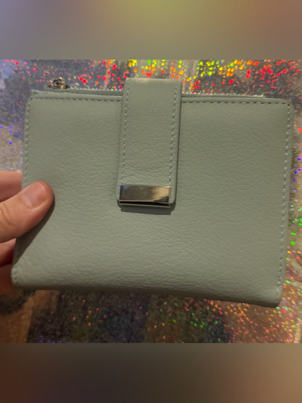 Light Sage Green Organizer Wallet Clutch Zip Around Card Holder